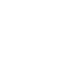 Vanguard Estate Team